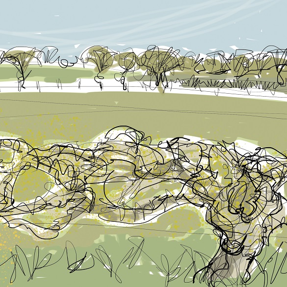 Hedgerows