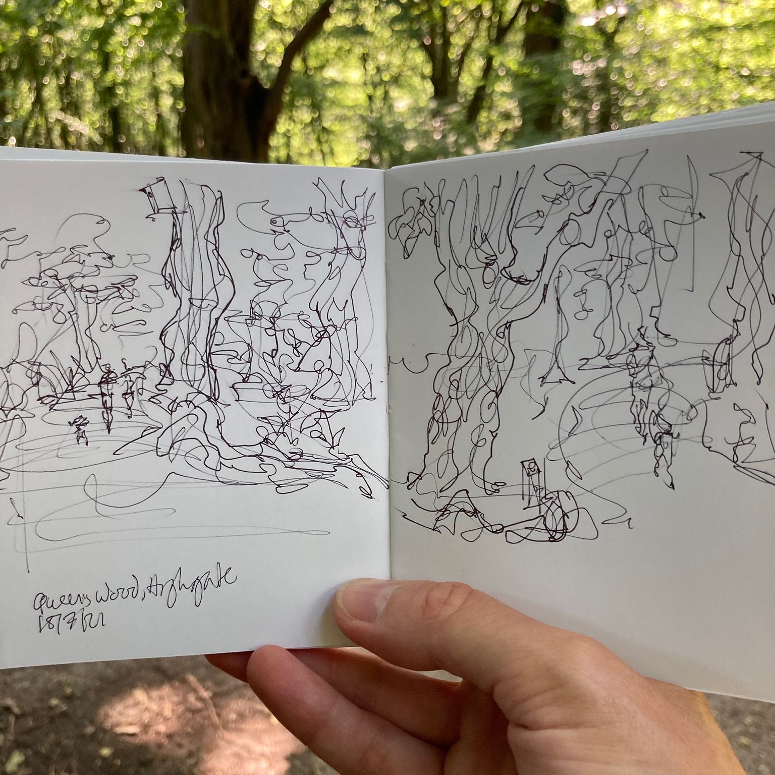 Deciduous woodland